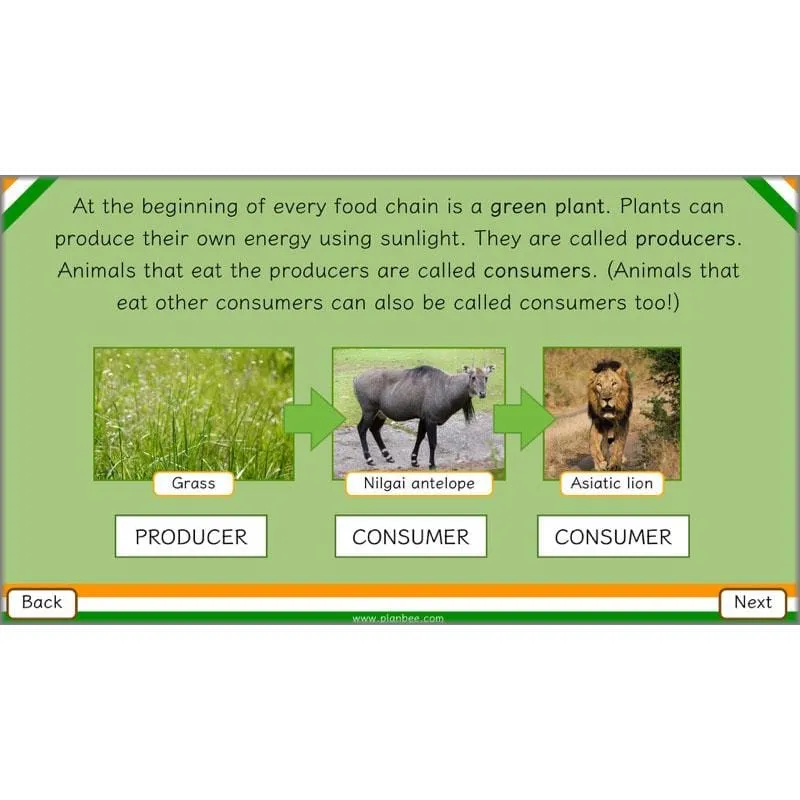 Animals of India