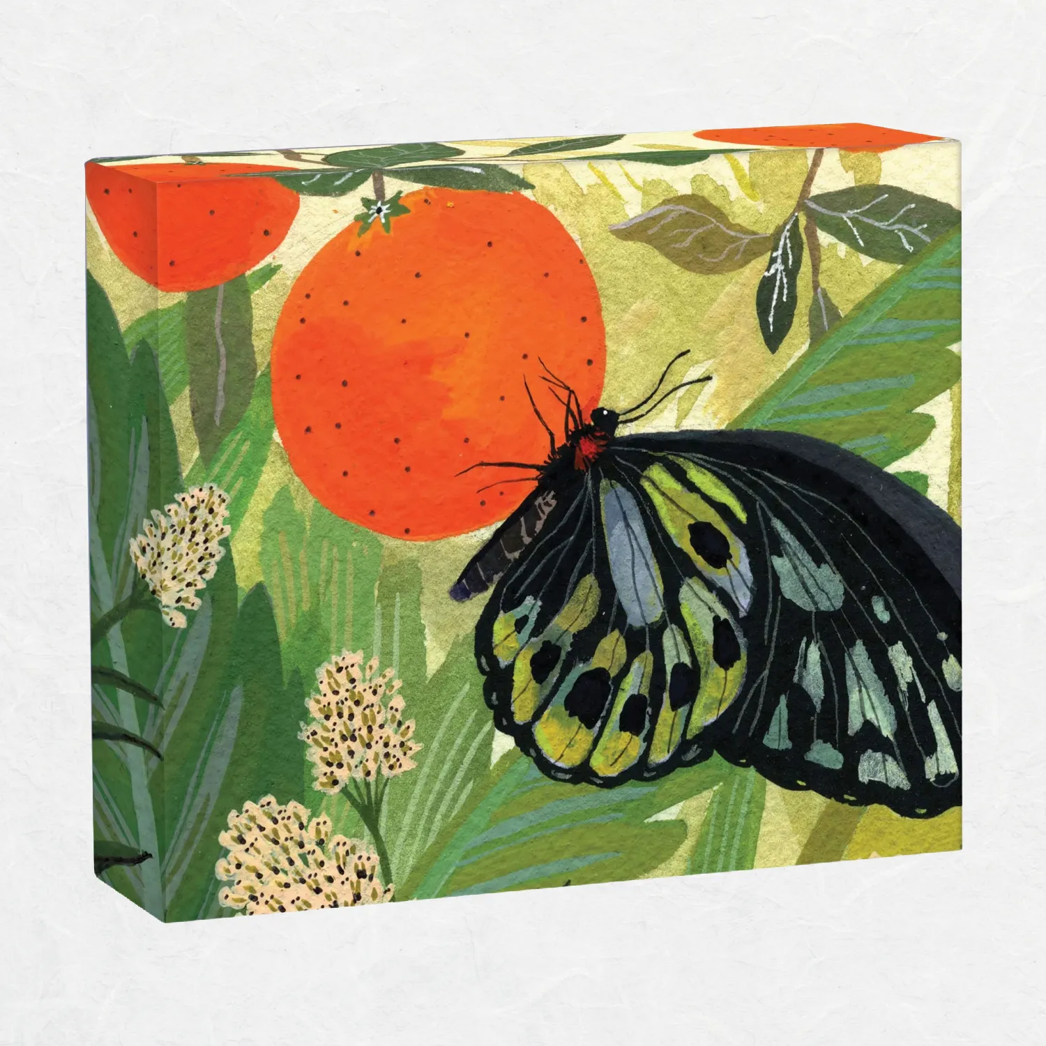 Butterflies Boxed Note Cards