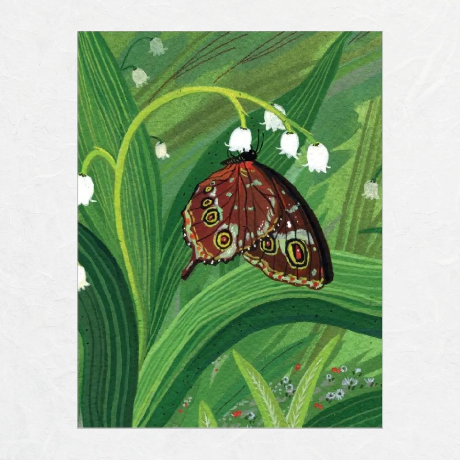 Butterflies Boxed Note Cards