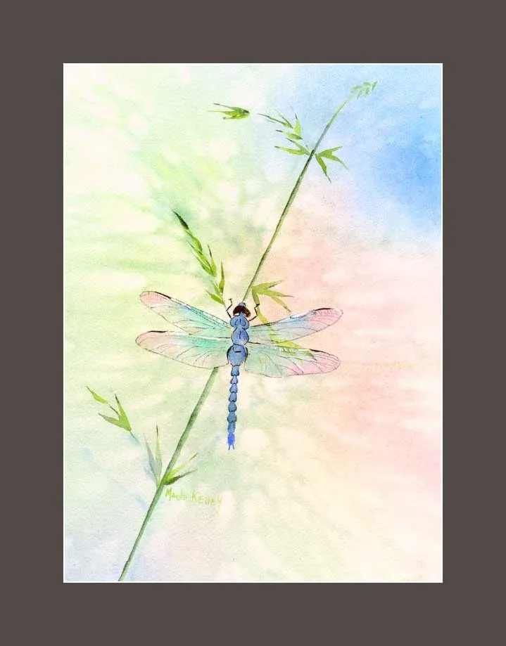 Dragonfly print