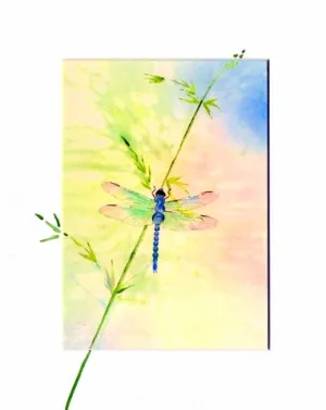 Dragonfly print