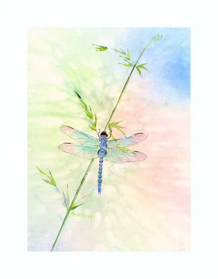 Dragonfly print