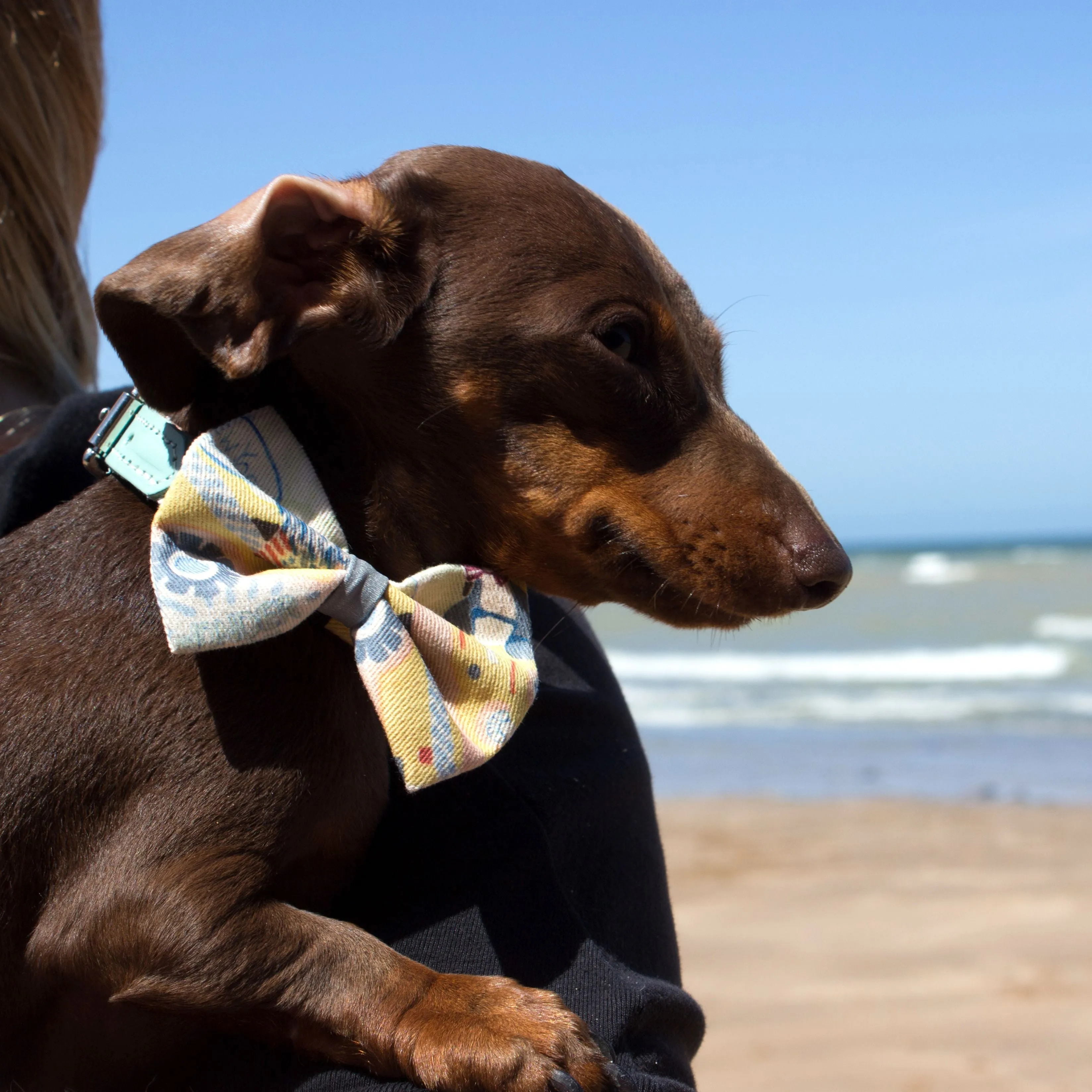 New York! New York! Dog Bow Tie