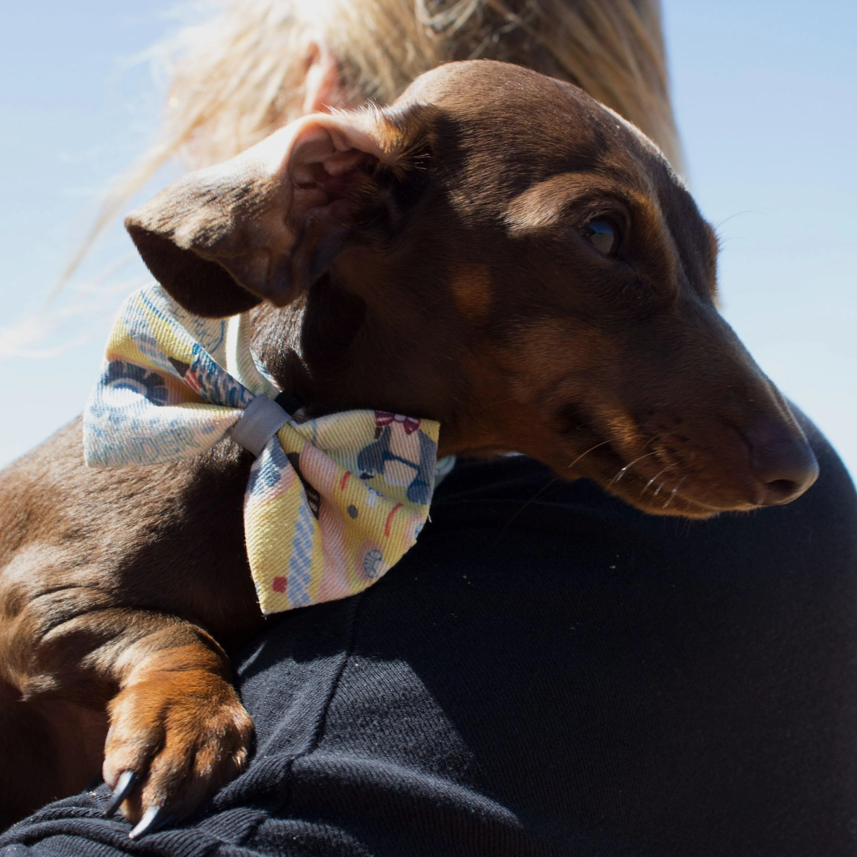 New York! New York! Dog Bow Tie